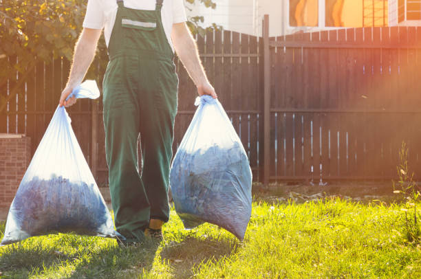 Best Appliance Removal  in Carroll, IA