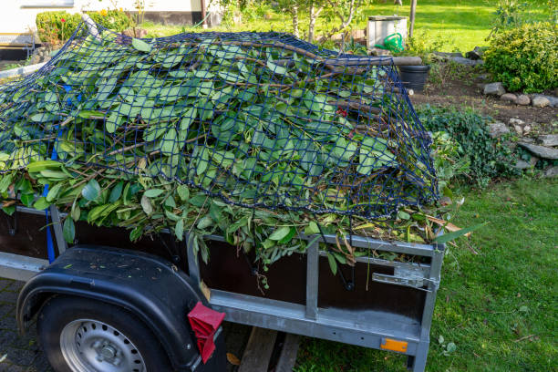  Carroll, IA Junk Removal Services Pros
